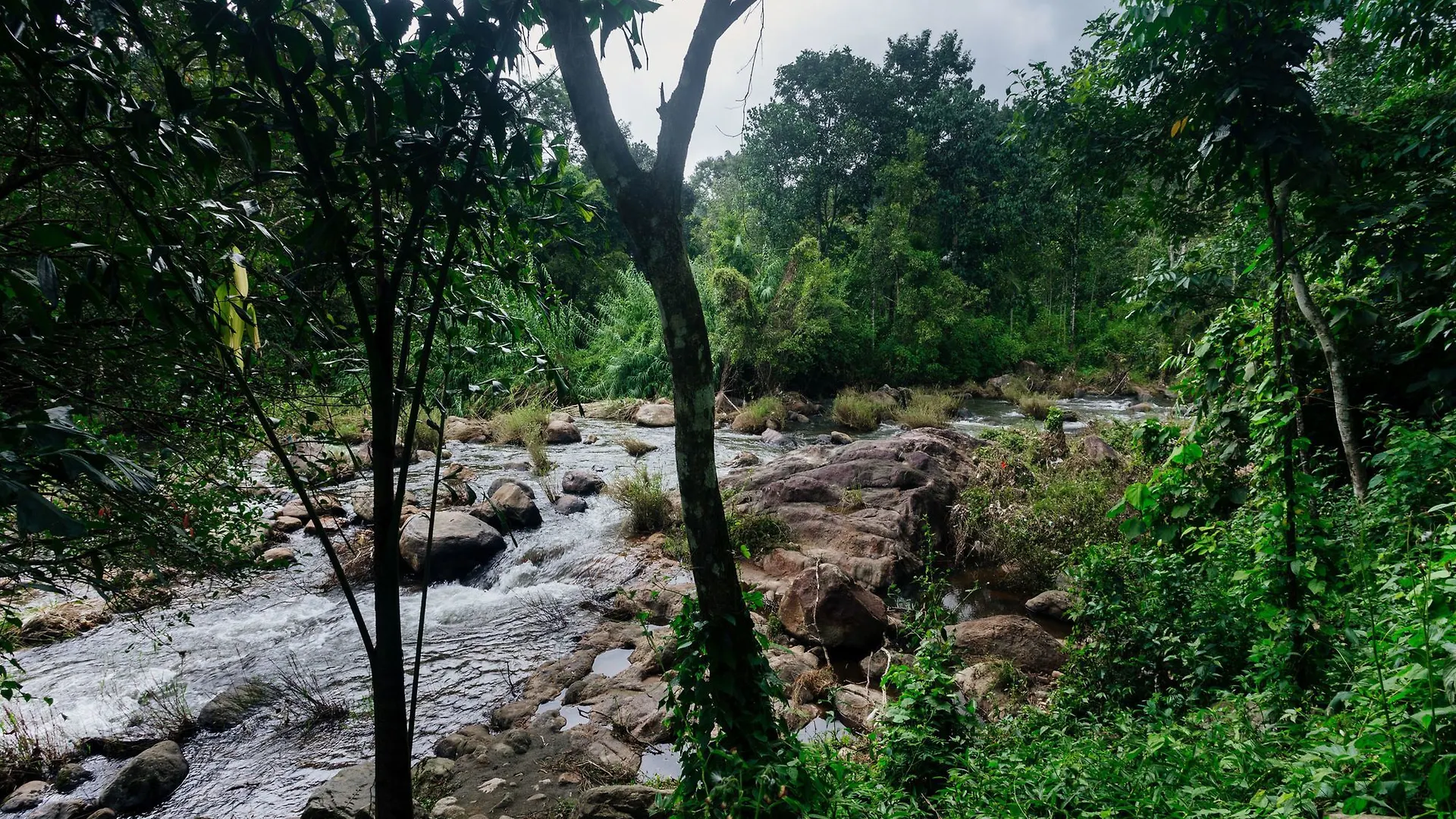 Oyo 9725 Hotel Misty River Munnar 2*,  Indie