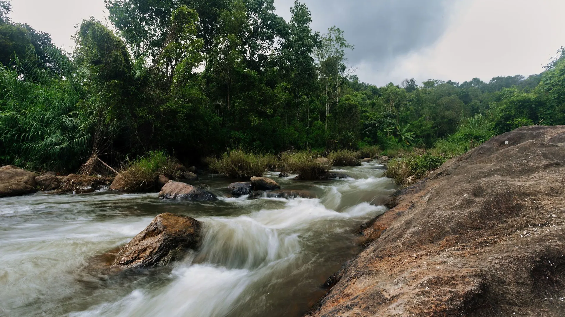 Oyo 9725 Hotel Misty River Munnar